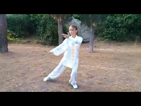 Видео: Тайдзи цюань Янши,40 форм,Масютина Наталья,Обнинск