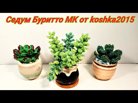 Видео: #цветы💐 Седум Буритто из бисера МК от Koshka2015 - цветы из бисера,  бисероплетение Beaded flowers э