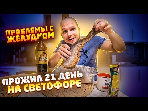 Видео: 21 день на Светофоре я ВСЕ!
