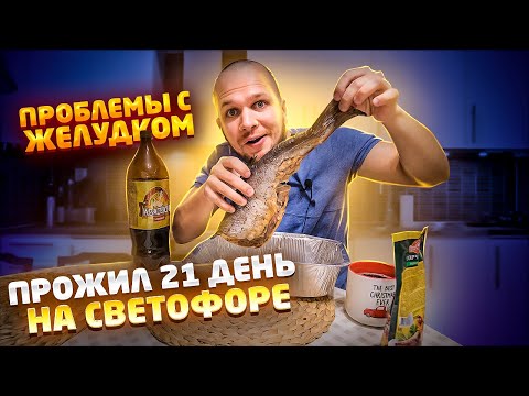 Видео: 21 день на Светофоре я ВСЕ!