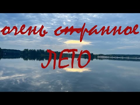 Видео: Сорок минут рыбалки или вечер на природе