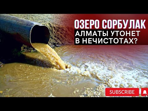 Видео: ОЗЕРО #СОРБУЛАК #Алматы утонет в нечистотах? #казахстан