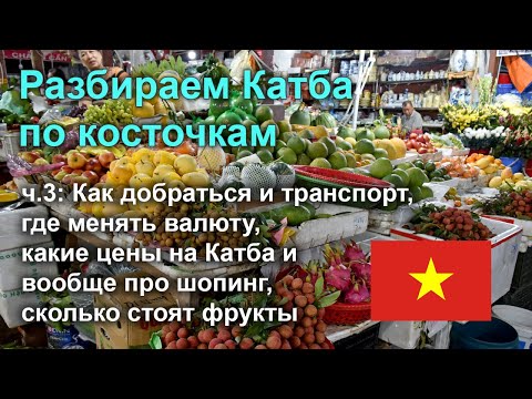 Видео: Разбираем остров Катба по косточкам, часть 3: инфраструктура, цены, деньги, транспорт