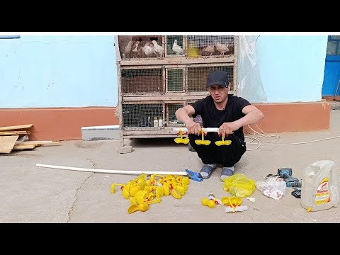 Видео: Уй Шароитида Бедана Бокиш Бизнеси Канча Расход Булади Поилка Ясаш