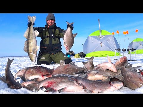 Видео: РАСКРЫВАЮ СЕКРЕТЫ и БЬЮ РЕКОРДЫ!!! Жерлицы на 12 метрах. В гостях Женя рыбалка 68. Sarmax 500.