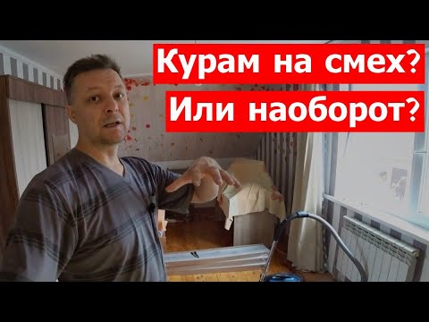 Видео: В этой стране даже курям хорошо!