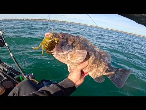 Видео: Ловля крабов на большой глубине на любой клев