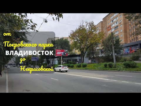 Видео: Владивосток октябрь 2024