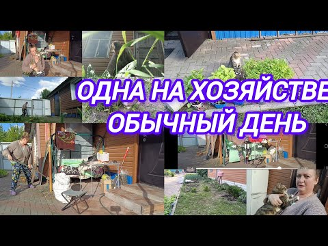 Видео: БОРЮСЬ С ТРАВОЙ. УБОРКА ВО ДВОРЕ