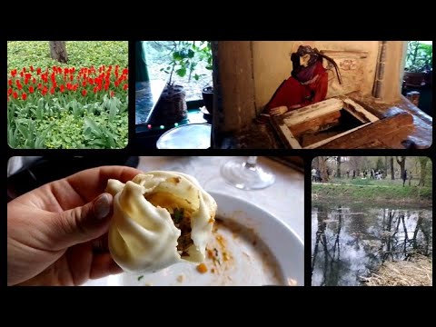 Видео: Москва. Встреча с подругами. Отличный грузинский ресторан "Мадам Галифе" и ботанический парк.