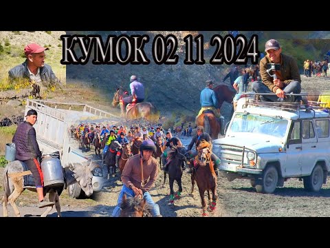 Видео: Бузкашии д Кумок 02 11 2024 ш Панчакент UMED VIDEO