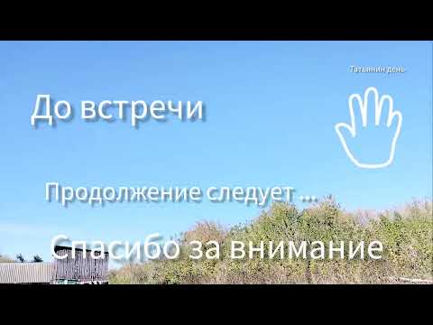 Видео: Телевизор самоустранился) Прогулка по зарослям) Огород вспахан)