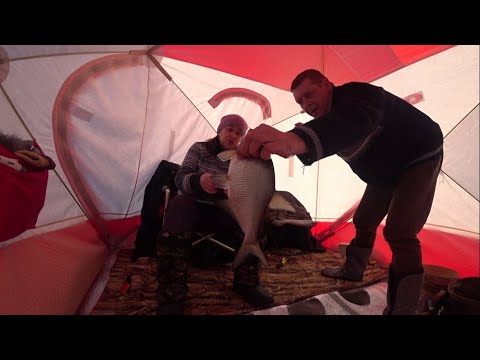 Видео: Глухозимье отменили.Белоярское водохранилище.22 февраля 2024 г.