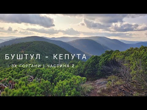 Видео: БУШТУЛ - КЕПУТА. ЗАХІДНІ ҐОРҐАНИ. Частина 2