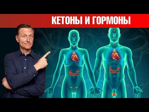 Видео: Как кетоны влияют на гормональную систему? Баланс гормонов👌