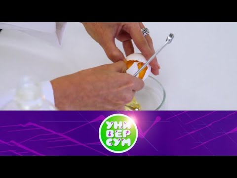 Видео: Универсум. Эфир от 18.08.2016 | Телеканал Карусель