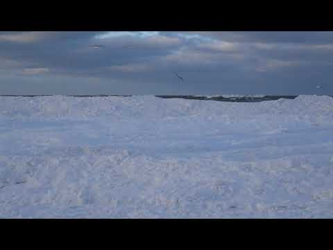 Видео: Замерзающее Балтийское море в Зеленоградске