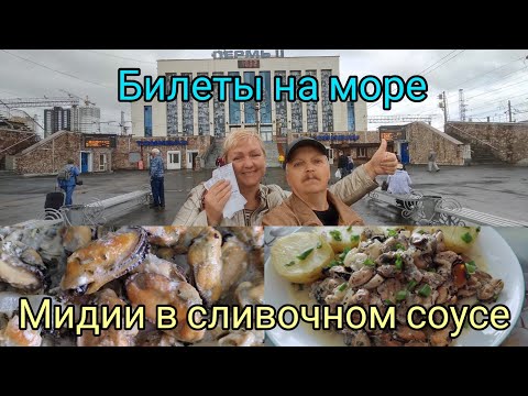 Видео: Покупка билетов на море/мидии в сливочном соусе/
