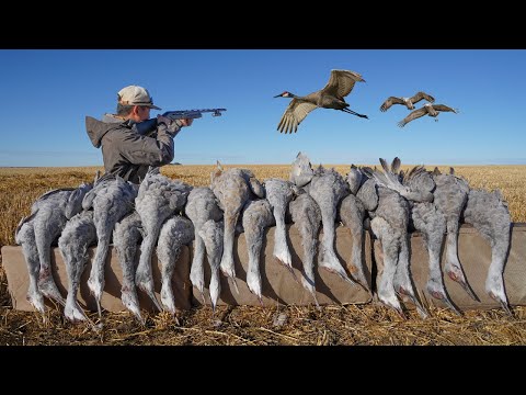 Видео: БЕЗУМНАЯ охота на гигантских журавлей-птеродактилей! (МЫ ЗАСТРЯЛИ ГРУППУ)