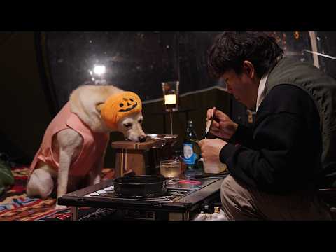 Видео: Первый огонь сезона — поход на Хэллоуин с моей собакой 🎃🔥