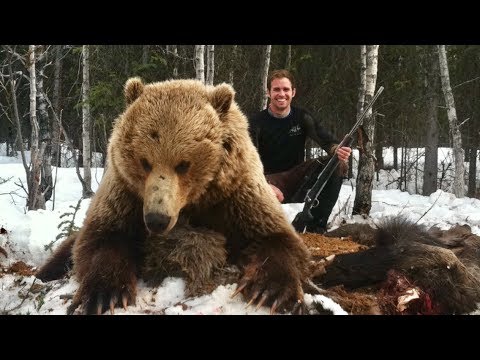 Видео: 2 гигантских внутренних аляскинских гризли! | S3E01 | Limitless Outdoors