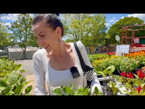 Видео: Цветочный Фруктовый Шопинг Из Маркета | Наш Дорогой Кофе ☕️ | Семейный Влог | Эгине | Heghineh
