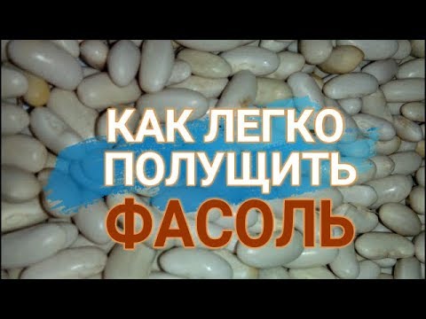 Видео: 👋👋КАК ЛЕГКО И ПРОСТО ПОЛУЩИТЬ ФАСОЛЬ, ГОРОХ