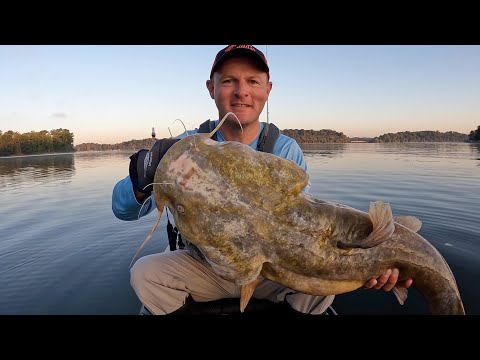 Видео: Ловля плоскоголовой рыбы стала проще