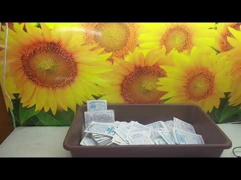 Видео: Какие сорта капусты нужно сеять уже сейчас? Ольга Чернова.