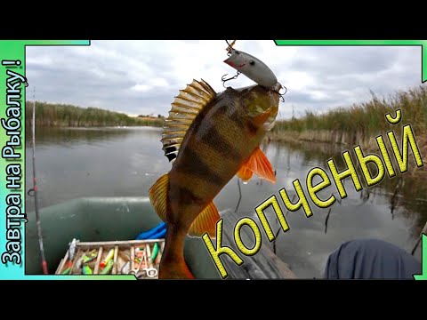 Видео: Ураган.... Нашел затишье, а там есть поклевки ....