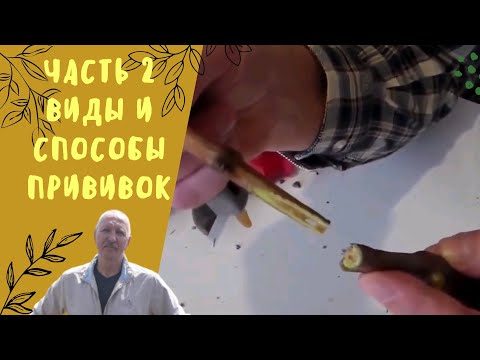 Видео: Часть 2. Виды и способы прививок.