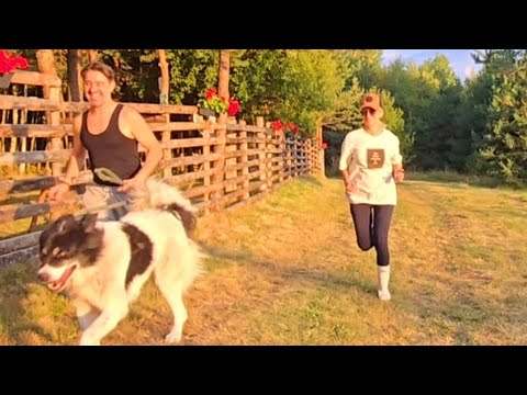 Видео: ПРЕКРАСЕН ЖИВОТ ИЗВЪН СИСТЕМАТА#извънграда#offgridcouple#сглобяемакъща#влог#building#buildinghome #