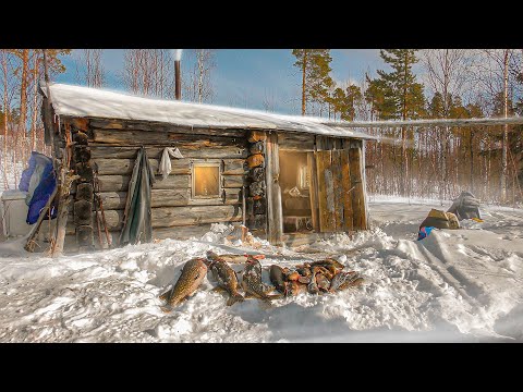 Видео: ПРОВЕРИЛИ ЖЕРЛИЦЫ И ОБАЛДЕЛИ. ВЫРУБАЕМ ЩУК ИЗ ПОДОЛЬДА. ЛУЧШАЯ РЫБАЛКА В КАРЕЛИИ. ИЗБА РЫБАКА.