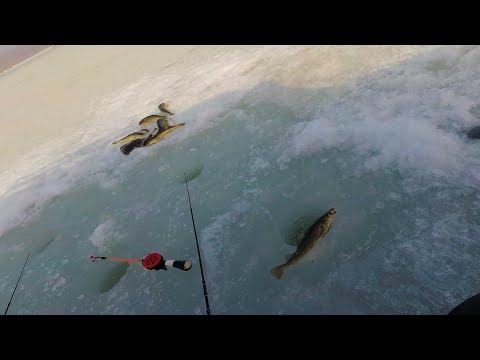 Видео: ТАВРИЧАНКА. Зимняя рыбалка на ЛЕТНИЕ БЛЕСНА.