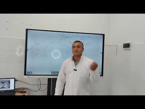 Видео: Выявление структураных элементов бактериальной клетки