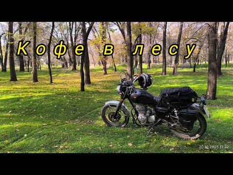 Видео: Кофе в лесу. @ПланетаИЖей 