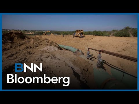 Видео: Альберта приветствует сообщение о возрождении Keystone