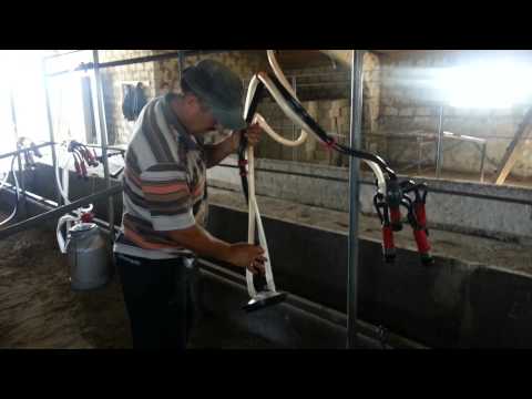 Видео: Моя милка 5.6.7.8 и вакуумпровод.