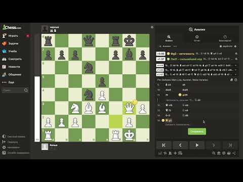 Видео: Как стать популярным блогером на Chess.com