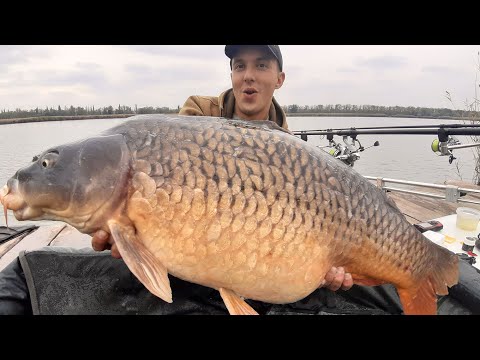 Видео: Трофейная рыбалка. Мы столько еще не ловили. Ловля карпа на бойлы