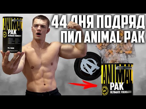 Видео: 44 ДНЯ ПОДРЯД ПИЛ ANIMAL PAK, ВОТ ЧТО ВЫШЛО!