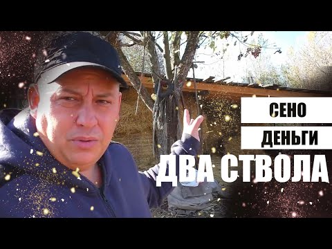 Видео: навес для сена