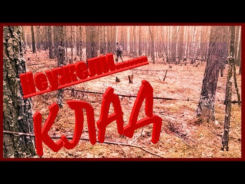Видео: Обнаружила в лесу такое. Неужели я нашла клад?  .