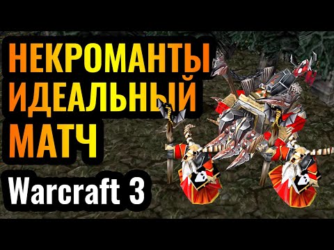 Видео: ШЕДЕВР с НЕКРОМАНТАМИ в Warcraft 3 Reforged: Идеальная стратегия Некромантов