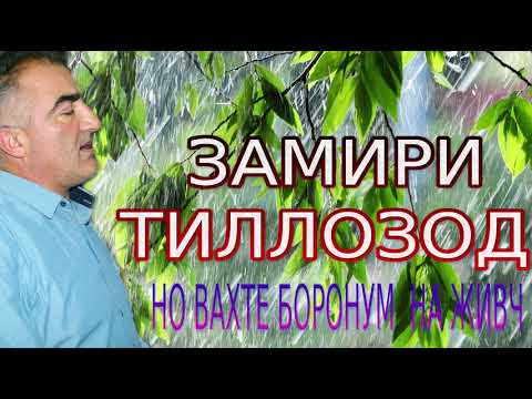 Видео: ЗАМИРИ-ТИЛЛОЗОД***НО ВАХТЕ БОРОНУМ НА ЖИВЧ