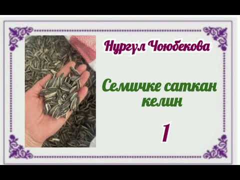 Видео: Нургүл Чоюбекова Семичке саткан келин 1- бөлүм