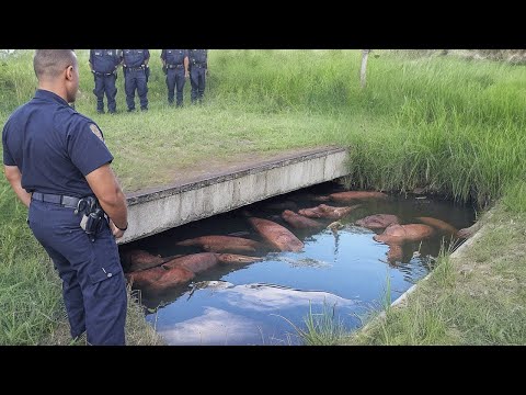 Видео: Это Действительно Было Снято на Камеру
