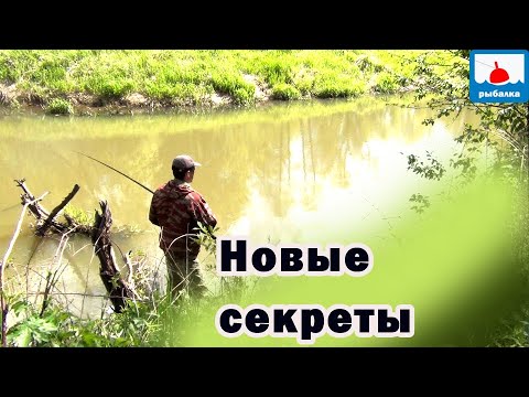 Видео: Новые секреты ловли на майского жука - КРУПИЦЫ МАСТЕРСТВА!
