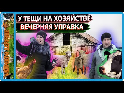 Видео: пополнение в хозяйстве у тещи, обзор хозяйства, жизнь в деревне