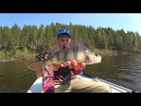 Видео: ЖИРНЫЙ МОРМЫШИНГ. Такие лапти, что не оторвать от дна.